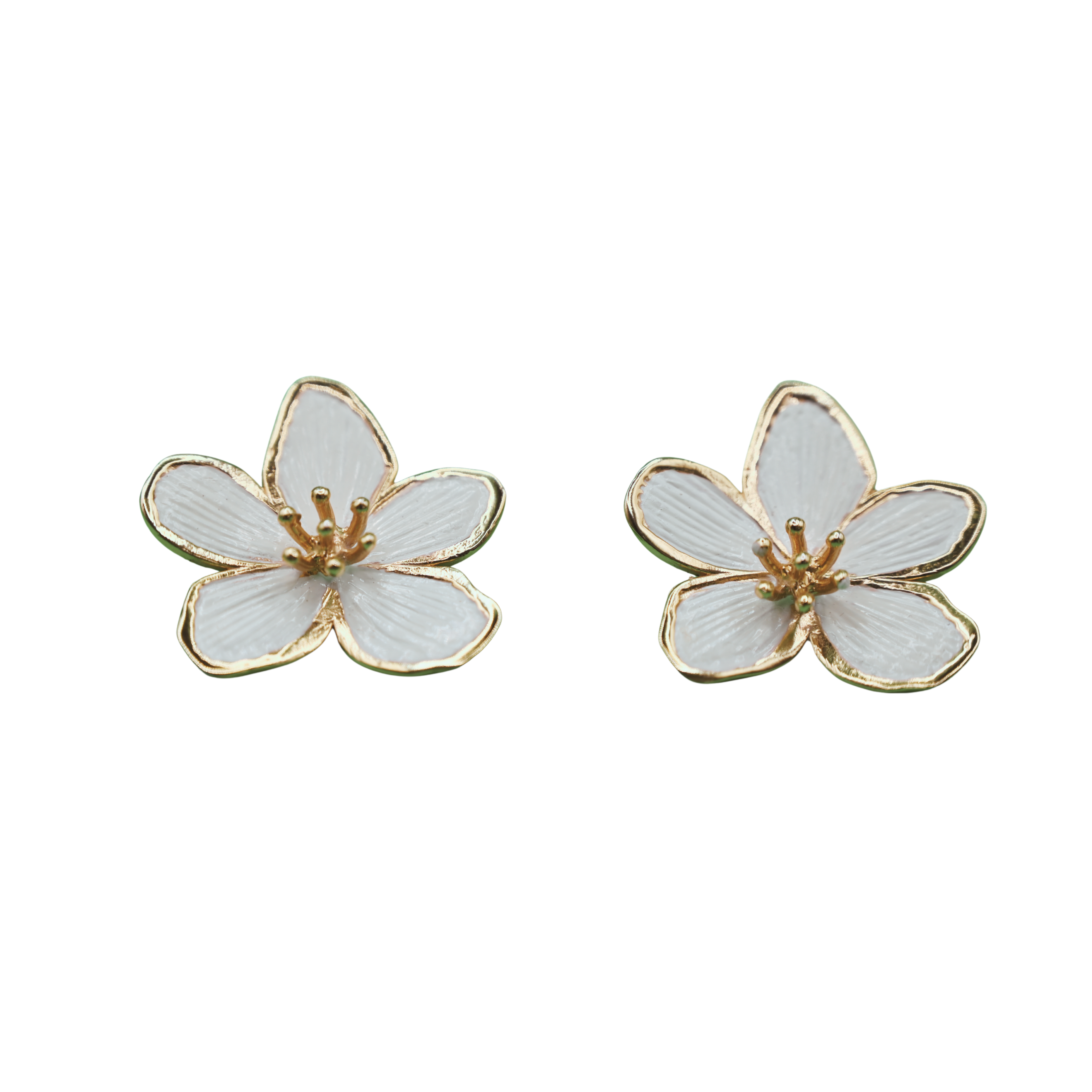 "For Him & Her" AMV Magnolia Signature Collection